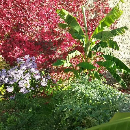 Bed and breakfast D'hote Le 18-20 Saint-Martin-des-Entrées
