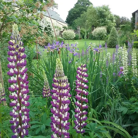 D'hote Le 18-20 Bed and breakfast