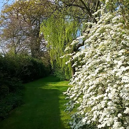 Bed and breakfast D'hote Le 18-20