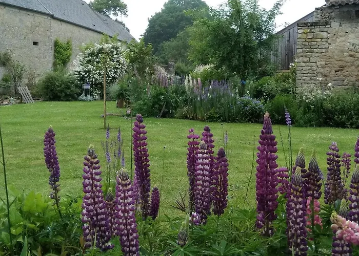 D'hote Le 18-20 Bed & Breakfast Saint-Martin-des-Entrees