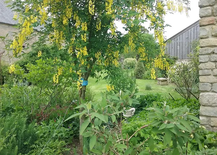 Bed & Breakfast D'hote Le 18-20 3*