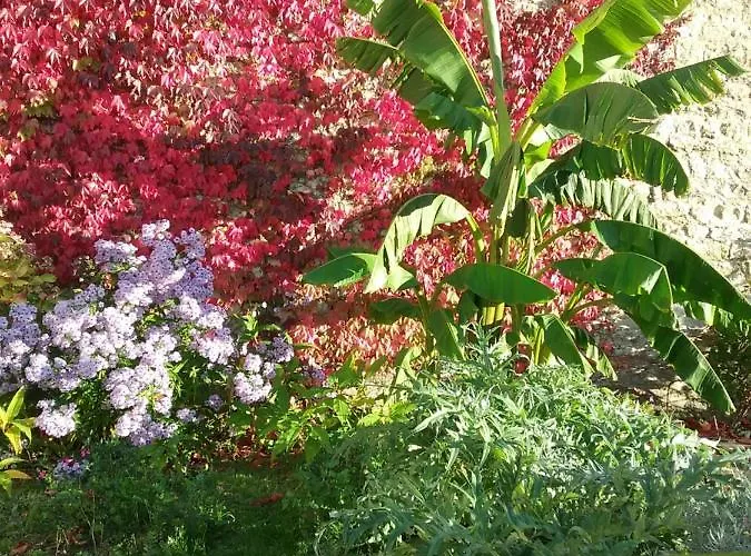 Bed & Breakfast D'hote Le 18-20 Saint-Martin-des-Entrees