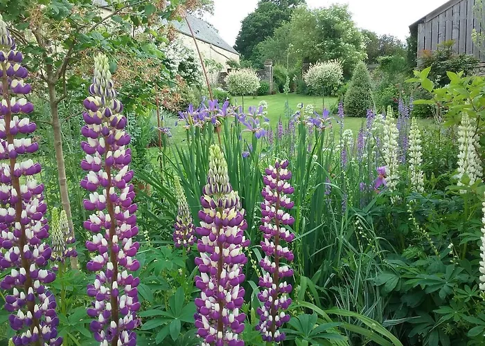 D'hote Le 18-20 Bed & Breakfast